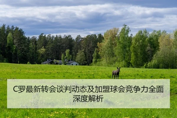 C罗最新转会谈判动态及加盟球会竞争力全面深度解析